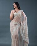 Champagne Beige Sequin Work Net Saree